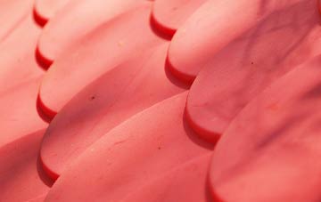 Barrachnie plastic roof costs